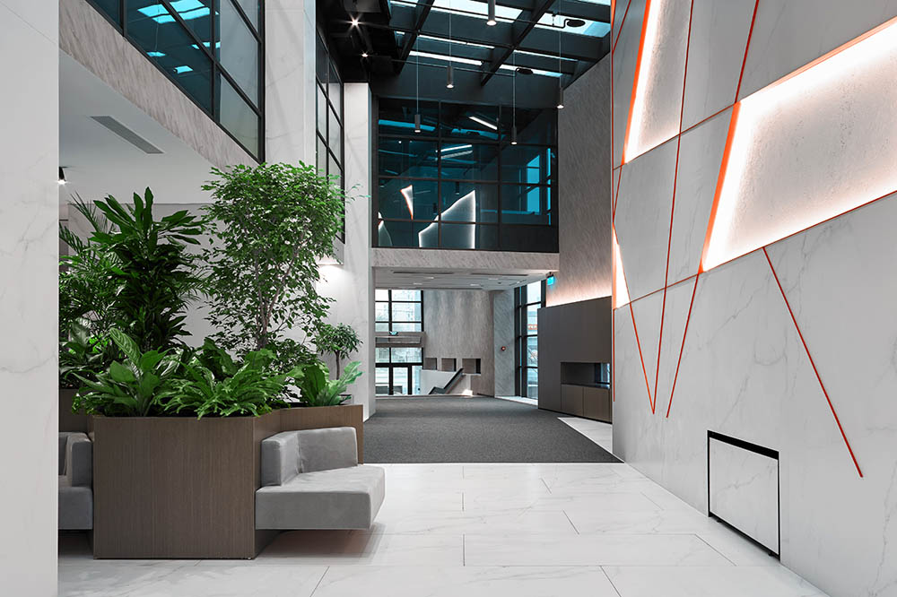 �� �������������̆